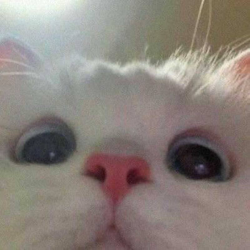 เป้