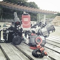 Show profile photo