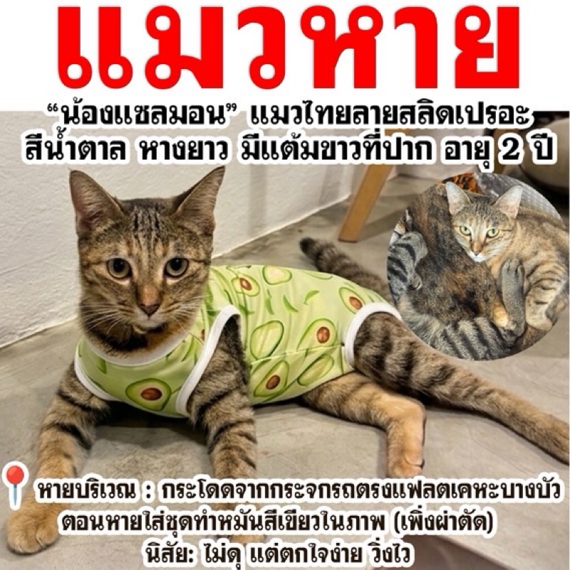 กรรณพร วงศ์พินทุ