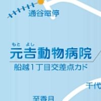 Show profile photo