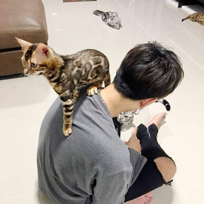 กอล์ฟ