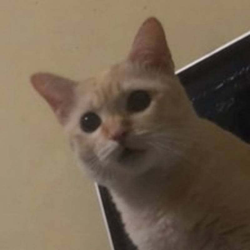 Suttida
