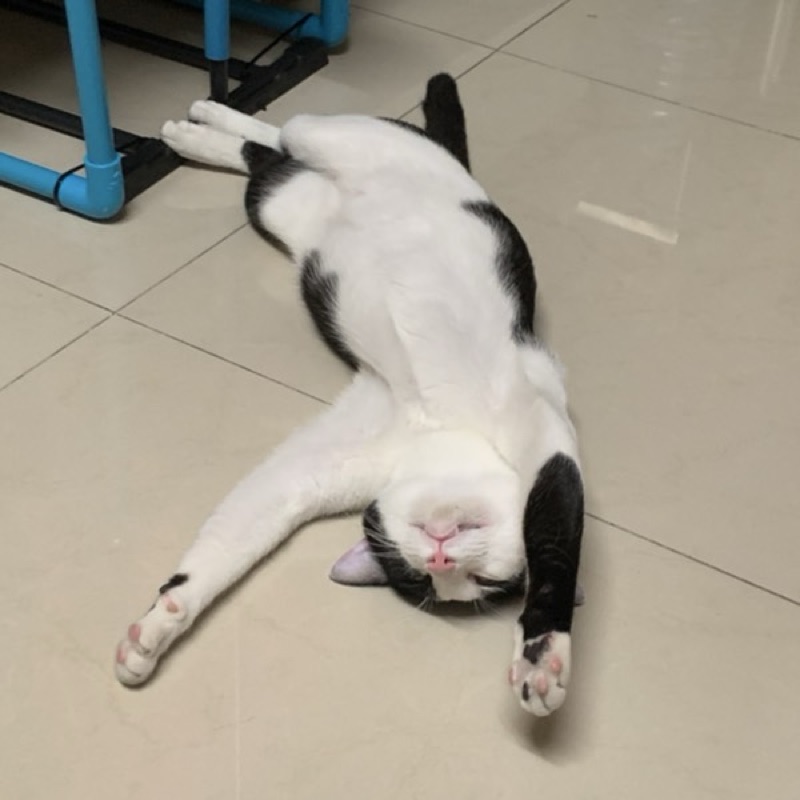 ภัทรวดี วิจิตรวงศ์โอฬาร
