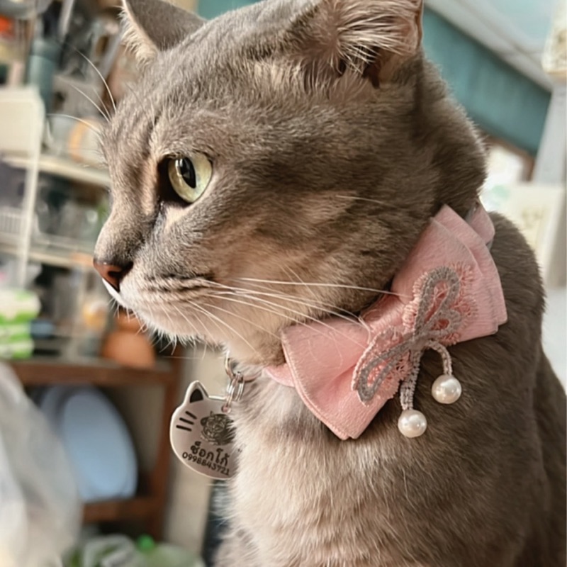 ชลดา