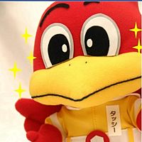Show profile photo