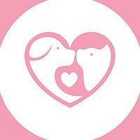 Show profile photo