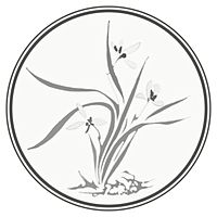 Show profile photo