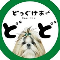 Show profile photo