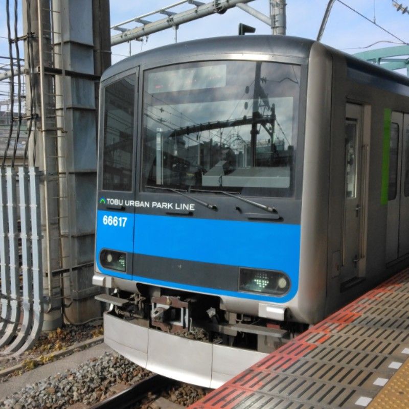 みずき