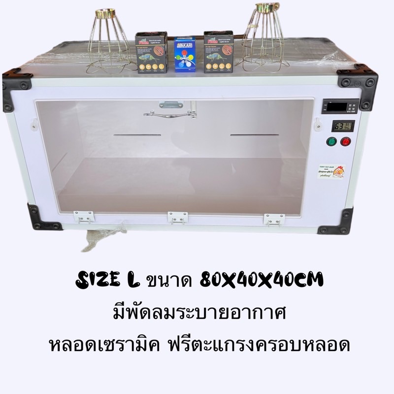 ดนัย ม่วงขำ