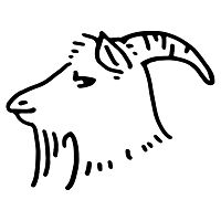 Show profile photo