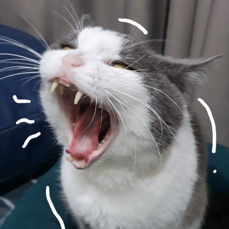 มรกต