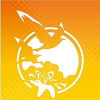 Show profile photo