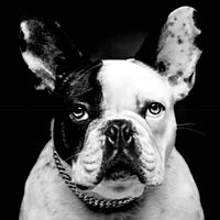 Show profile photo