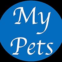 Show profile photo