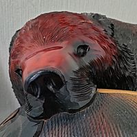 Show profile photo