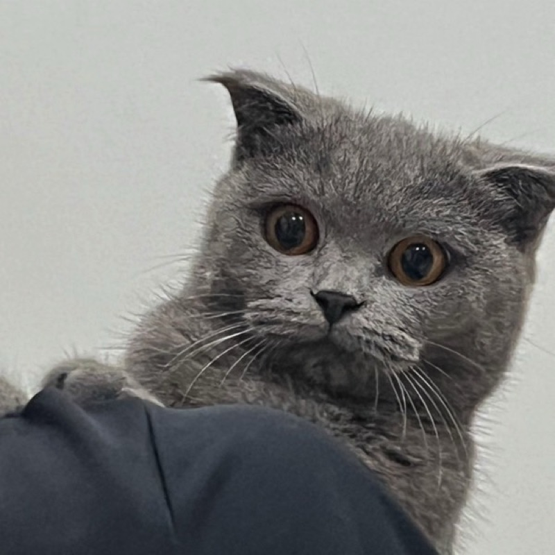 ฟลุ๊ค