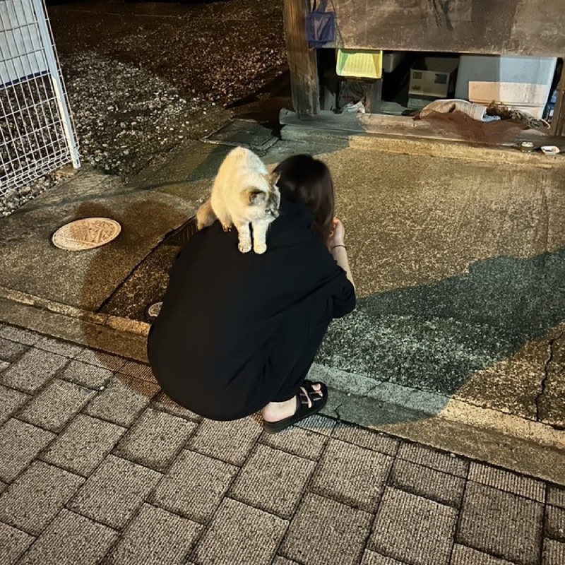 あいりのアバター