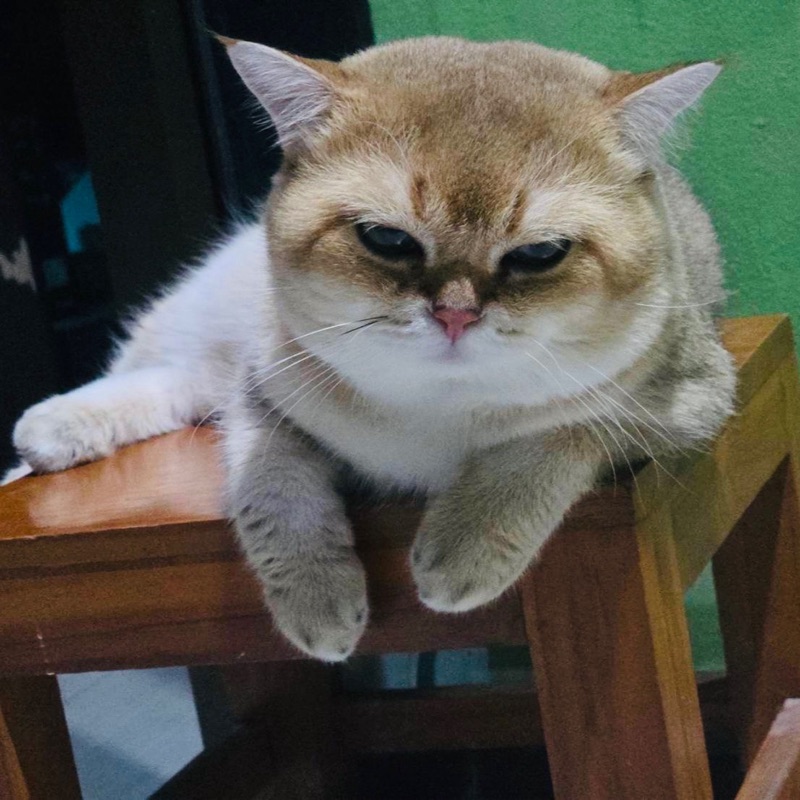 บัณฑิต