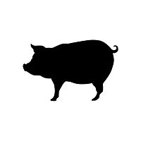 Show profile photo
