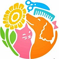 Show profile photo