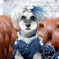 Show profile photo