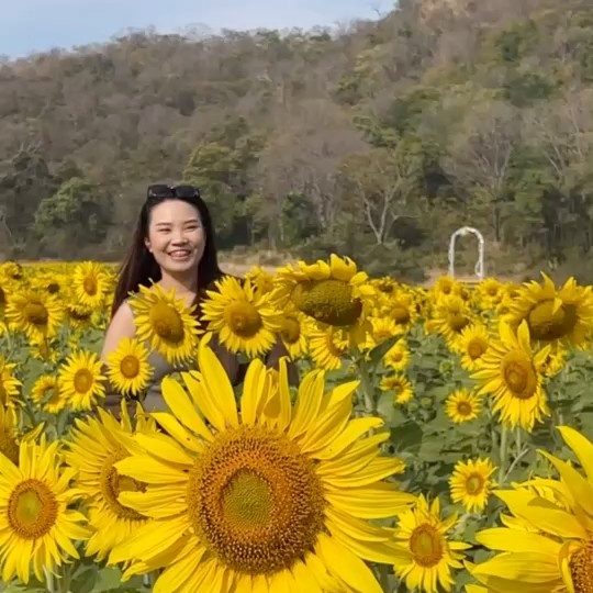 เนย
