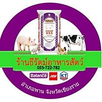 Show profile photo