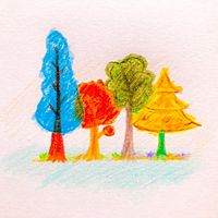 Show profile photo