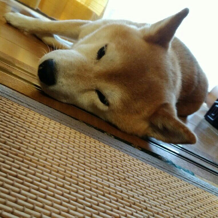 イド