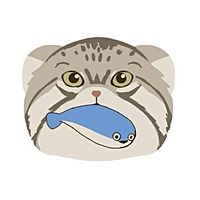 Show profile photo