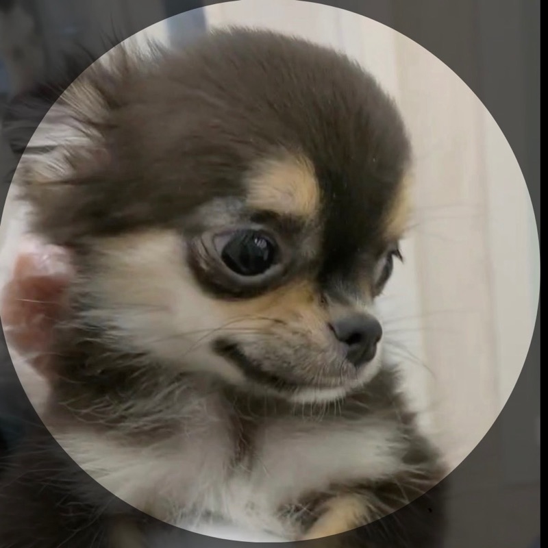 ショーン