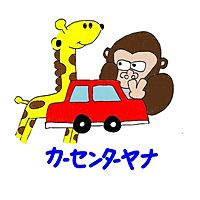 Show profile photo