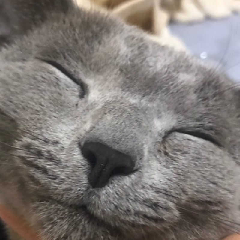 まどか