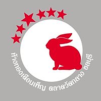Show profile photo