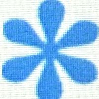 Show profile photo
