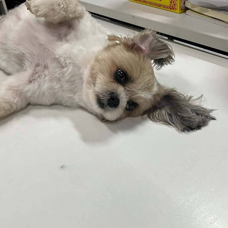 เม