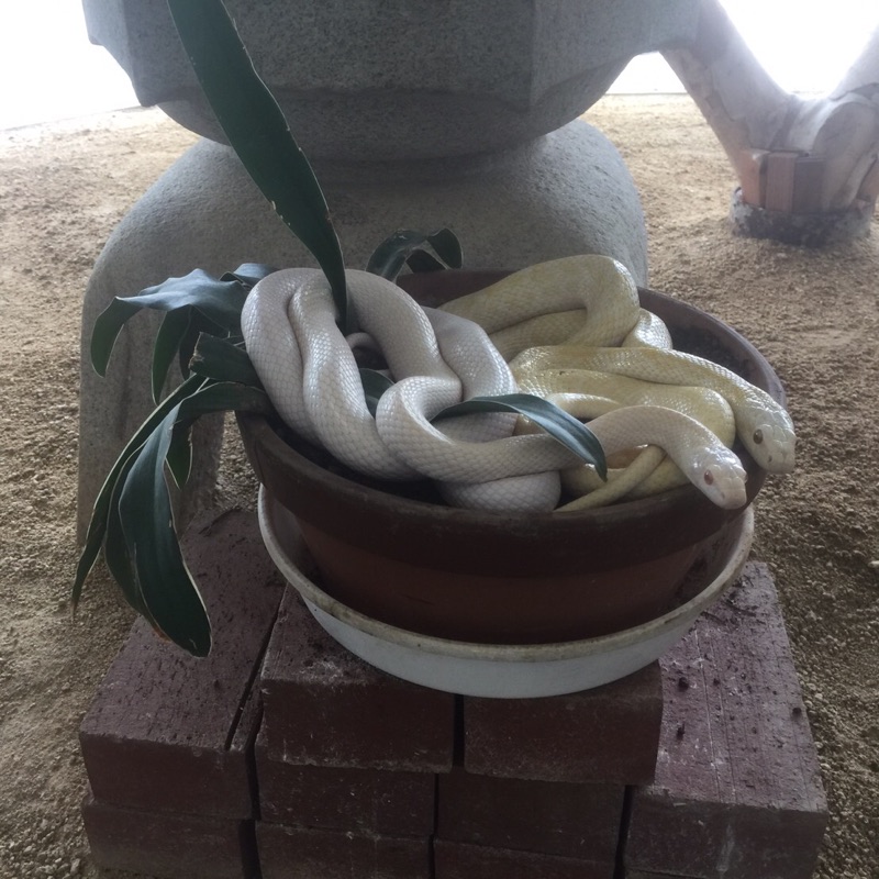 株式会社稀那興業