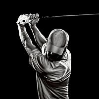 Show profile photo