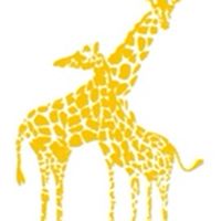 Show profile photo