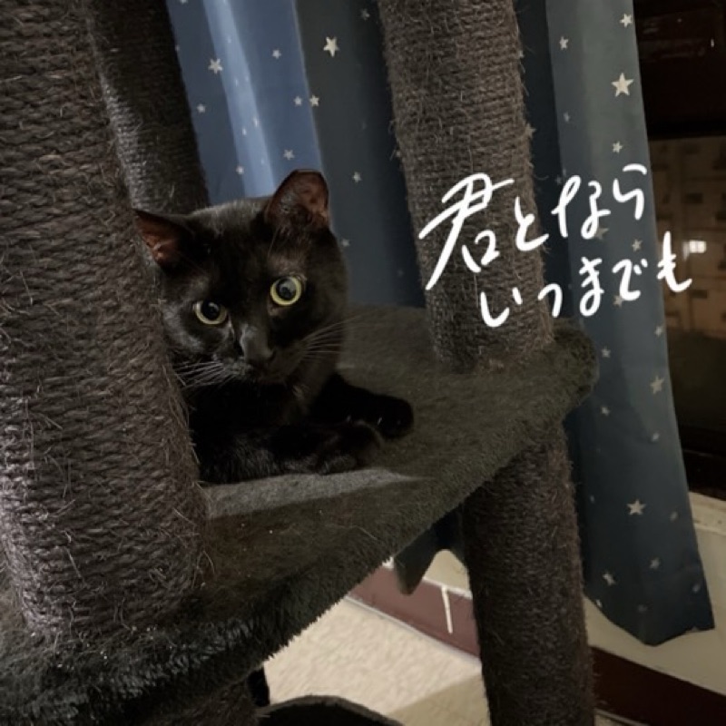 饒**