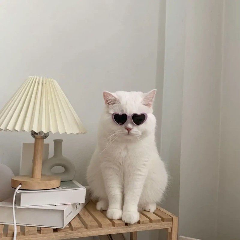 ✰𝕂𝕒𝕣𝕖𝕟❦