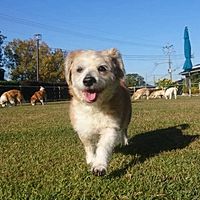 Show profile photo