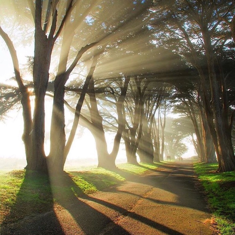 孤峰行者的頭像