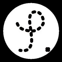 Show profile photo