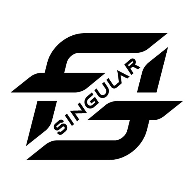 非凡樂器－Singular Music