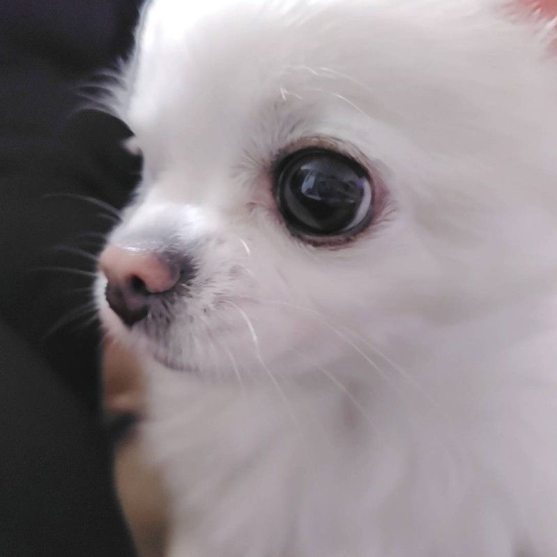ゆき