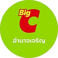 Show profile photo