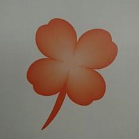 Show profile photo