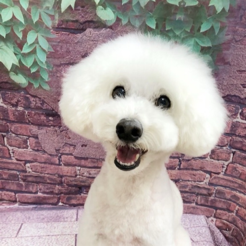 なおみ　Naomi